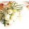 7 Rosen mit Gypsophila in der Hand der Brautjungfer
