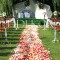 Zeremonie im Freien, Blütenblätter-Teppich